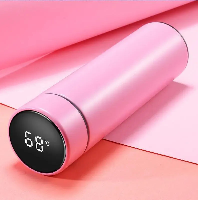 Temperature Water Bottle 500ml